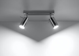 Потолочный светильник Sollux Ring, серебро, 2 лампочки цена и информация | Потолочные светильники | 220.lv