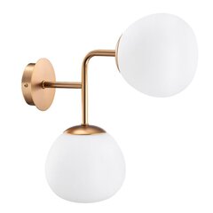 Sienas lampa Modern Erich, zeltaina/piena krāsas, 2x 40 W cena un informācija | Sienas lampas | 220.lv