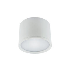 Rolen LED 7w balta 4000k SMD LED griestu lampa STRÜHM 70 x 100 x 100 mm cena un informācija | Griestu lampas | 220.lv