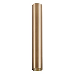 Nowodvorski Lighting gaismekļa plafons Cameleon Eye L Brass 8484 cena un informācija | Lustras | 220.lv