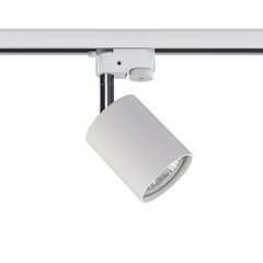 Nowodvorski Lighting lampa 9321 cena un informācija | Griestu lampas | 220.lv