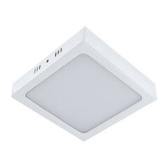 Martin LED d balta 24w 4000k SMD LED griestu lampa STRÜHM 35 x 300 x 300 mm cena un informācija | Iebūvējamās lampas, LED paneļi | 220.lv