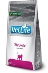 Сухой корм для кошек Farmina Pet Food STRUVITE FELINE, 2 кг цена и информация | Сухой корм для кошек | 220.lv