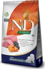 Farmina N&D GF Maxi ar ķirbi, jēru un mellenēm, 12 kg cena un informācija | Sausā barība suņiem | 220.lv