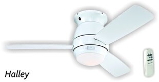 Griestu ventilators HALLEY Ø122 cm ar pulti, baltā krāsā cena un informācija | Griestu lampas-ventilatori | 220.lv