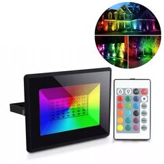 Уличный прожектор RGB LED с дистанционным управлением 10Вт IP65 цена и информация | Уличное освещение | 220.lv