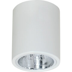 Luminex griestu lampa Downlight Round cena un informācija | Griestu lampas | 220.lv