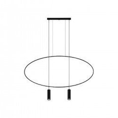 Pendant lamp HOLAR 2 black THORO TH.017CZ цена и информация | Люстры | 220.lv