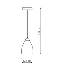 Light Prestige piekaramā lampa Niki 1 cena un informācija | Lustras | 220.lv