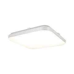 Eko-Light griestu lampa Ajax cena un informācija | Griestu lampas | 220.lv