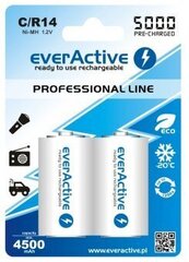 Батарейки everActive C "Ready to Use" цена и информация | Батарейки | 220.lv