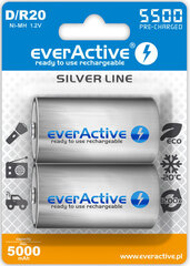 Аккумуляторы everActive R20/D Ni-MH 5500 мАч, готовые к использованию цена и информация | Батарейки | 220.lv