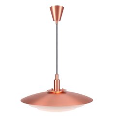 Nordlux piekaramā lampa Bretagne 39489930 cena un informācija | Lustras | 220.lv