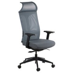 Офисное кресло A2A Ryder, серый, самобалансирующийся механизм цена и информация | Офисные кресла | 220.lv