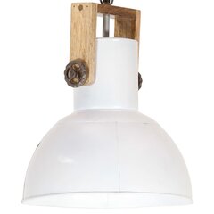 griestu lampa, industriāls dizains, balta, 25 W, 32 cm, E27 cena un informācija | Lustras | 220.lv