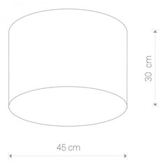 Nowodvorski Lighting потолочная люстра Cameron Gray III 9683 цена и информация | Потолочные светильники | 220.lv