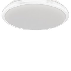 Milagro потолочный LED светильник Terma White 28 W цена и информация | Потолочные светильники | 220.lv