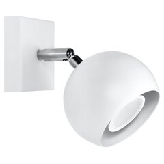 Sollux настенный светильник Oculare, white цена и информация | Настенные светильники | 220.lv