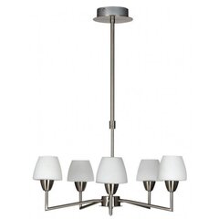 Griestu lampa 5535-10646 cena un informācija | Lustras | 220.lv