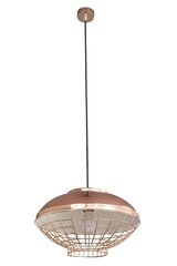 Lampa Lucy 03 cena un informācija | Lustras | 220.lv