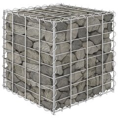 gabions, augstā puķu kaste, tērauda stieple, 40x40x40 cm cena un informācija | Puķu podi | 220.lv