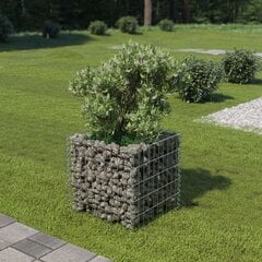 gabions, augstā puķu kaste, cinkots tērauds, 50x50x50 cm cena un informācija | Puķu podi | 220.lv