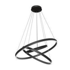 Pendant Lamp Rim цена и информация | Потолочные светильники | 220.lv