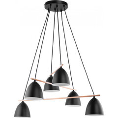 TK Lighting griestu lampa Aida Black 6 цена и информация | Люстры | 220.lv