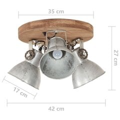 griestu lampa, industriāls dizains, sudrabaina, 42x27 cm, E27 цена и информация | Потолочные светильники | 220.lv