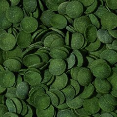 TROPICAL Green Algae Wafers - корм для аквариумных рыб - 1000 мл/450 г цена и информация | Корм для рыб | 220.lv