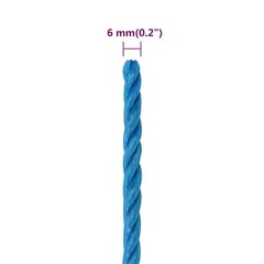 darba virve, zila, 6 mm, 25 m, polipropilēns cena un informācija | Dārza instrumenti | 220.lv