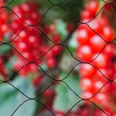 Nature putnu tīkls Primo, 10x10m, melns, 6030407 cena un informācija | Dārza instrumenti | 220.lv