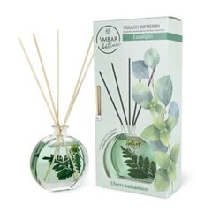 Mājas aromāts ar kociņiem Ambar Botanic Eucalyptus, 75 ml cena un informācija | Mājas aromāti | 220.lv