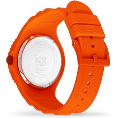 Ice Watch 019873 019873 цена и информация | Женские часы | 220.lv