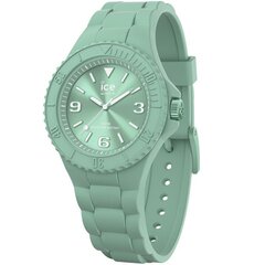 Ice Watch 019145 019145 цена и информация | Женские часы | 220.lv