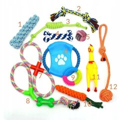 BestHurt suņu rotaļlietu komplekts, 12 gab. cena un informācija | Suņu rotaļlietas | 220.lv