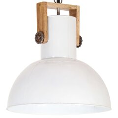 griestu lampa, industriāls dizains, balta, 25 W, 42 cm, E27 цена и информация | Люстры | 220.lv