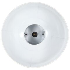 griestu lampa, industriāls dizains, balta, 25 W, 42 cm, E27 цена и информация | Люстры | 220.lv