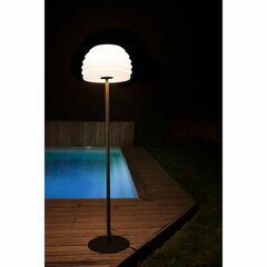 Grīdas lampa Galix Champi 150 cm 230 V cena un informācija | Āra apgaismojums | 220.lv