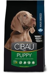 Farmina Cibau Puppy Maxi ar vistu un rīsiem, 12 kg + 2 kg cena un informācija | Sausā barība suņiem | 220.lv