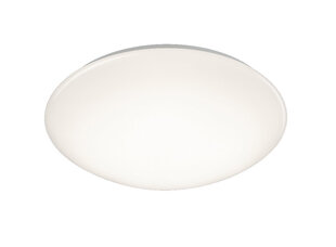 LED griestu plafons Pollux, 40 cm, balts, ar 15 W, 1600 lm LED, IP44, ar kustības sensoru cena un informācija | Griestu lampas | 220.lv