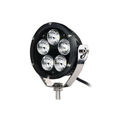 LED Licht M-Tech WLC101 50W cena un informācija | Auto spuldzes | 220.lv