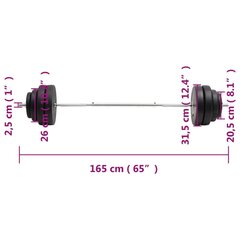 Stienis ar svariem, 60kg цена и информация | Гантели, гири, штанги | 220.lv