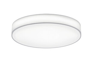 LED plafons Lugano, 75 cm, balts cena un informācija | Griestu lampas | 220.lv