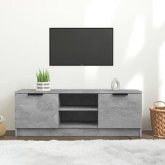 TV galdiņš, pelēks, 102x35x36,5cm, apstrādāts koks cena un informācija | TV galdiņi | 220.lv