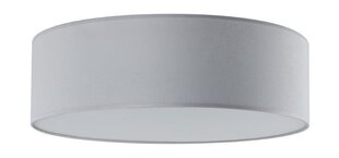 Светильник Iglo 40, серый цена и информация | Потолочные светильники | 220.lv