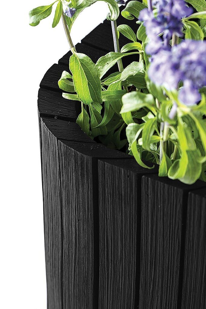 Keter puķu pods Cube Planter, 50,5 l, grafito cena un informācija | Puķu podi | 220.lv