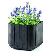 Keter puķu pods Cube Planter, 50,5 l, grafito cena un informācija | Puķu podi | 220.lv