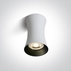 OneLight потолочный светильник Cylinder 12105F/W цена и информация | Потолочные светильники | 220.lv