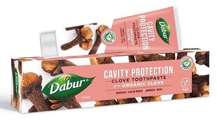 Травяная зубная паста Dabur Herbal Clove, 100 мл цена и информация | Зубные щетки, пасты | 220.lv